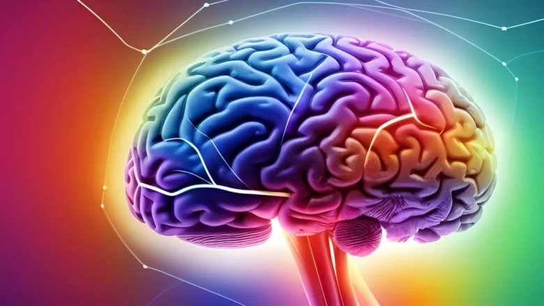 Devrim niteliğindeki 3D beyin taraması, milimetre boyutundaki bir örnekten 1.4 petabayt veri oluşturdu